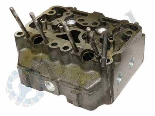 Zylinderkopf im Austausch bei Plus Serie Motor WD407, 1 Kopf für 2 Zylinder